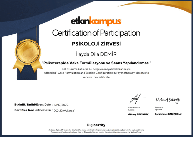 Psikoterapide Vaka Formülasyonu Ve Seans Yapılandırması